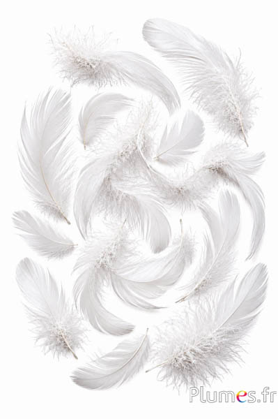 Gans - 4-6 cm - weiss
